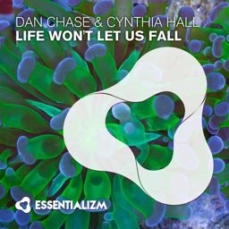 Life Won't Let Us Fall (Original Mix)